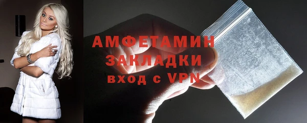 СК Алексин