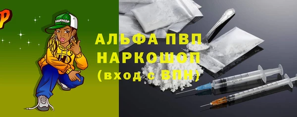 СК Алексин