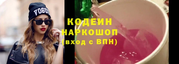 гашик Алзамай