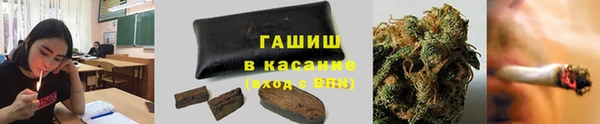 сатива Алексеевка