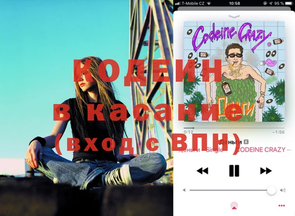 гашик Алзамай