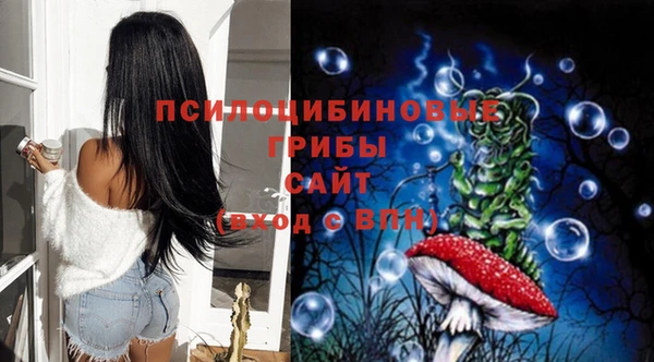 СК Алексин