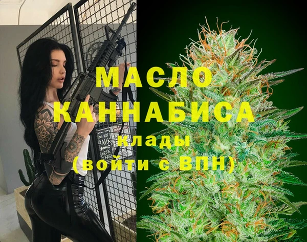 СК Алексин