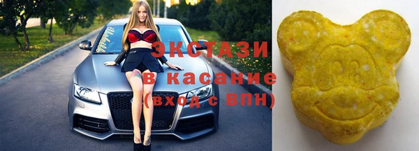 СК Алексин
