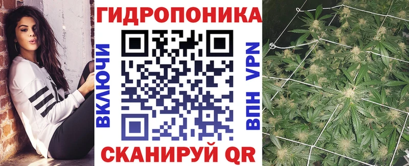 Каннабис индика Узловая